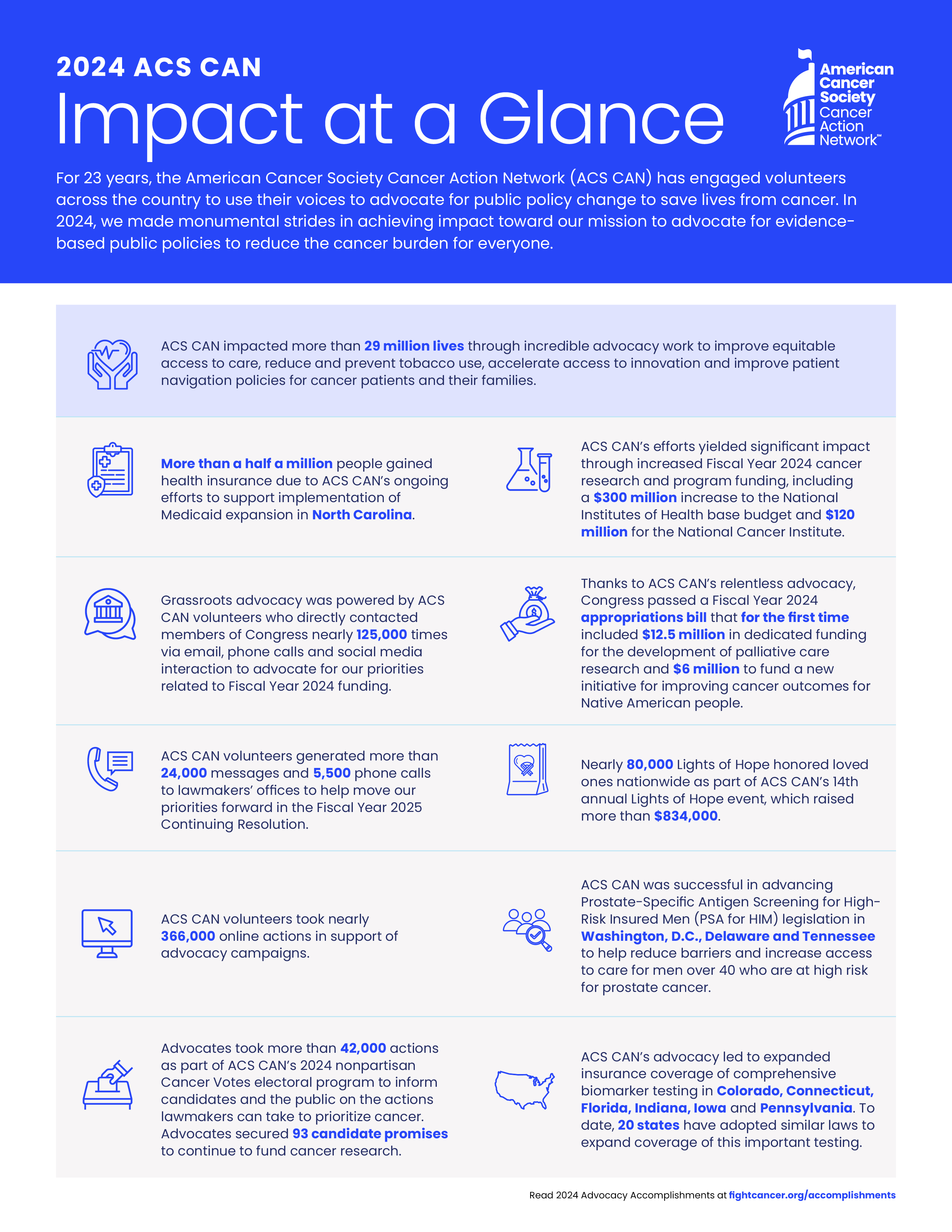 impact at a glance 2024 infographic