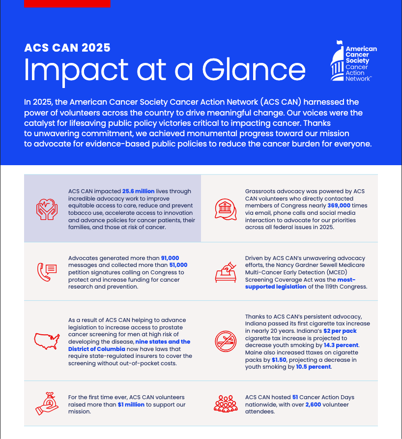 impact at a glance 2024 infographic