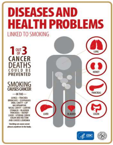 Photo of Disease and health problems Photo of Disease and health problems