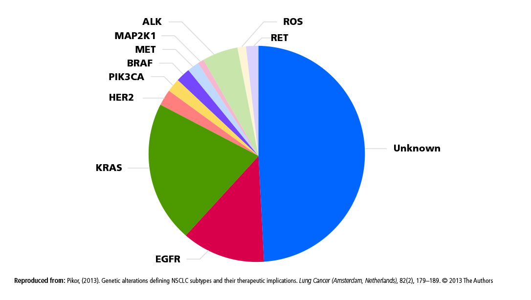 Figure 11. Genetic subsets of lung cancer (adenocarcinoma)