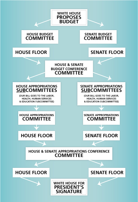 Appropriations Process Diagram