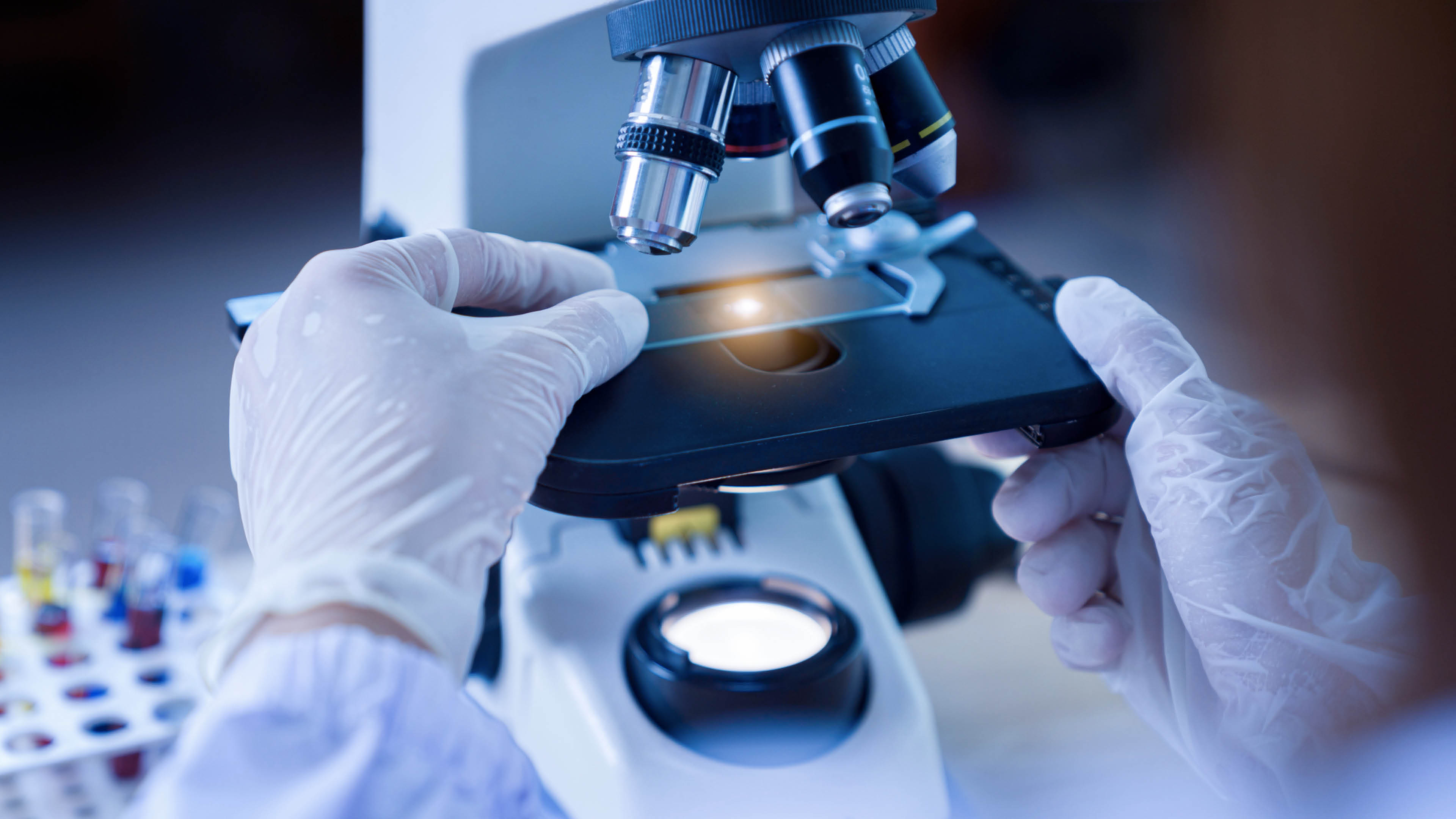 Scientist hands with microscope, examining samples and liquid  Medical research with technical equipment