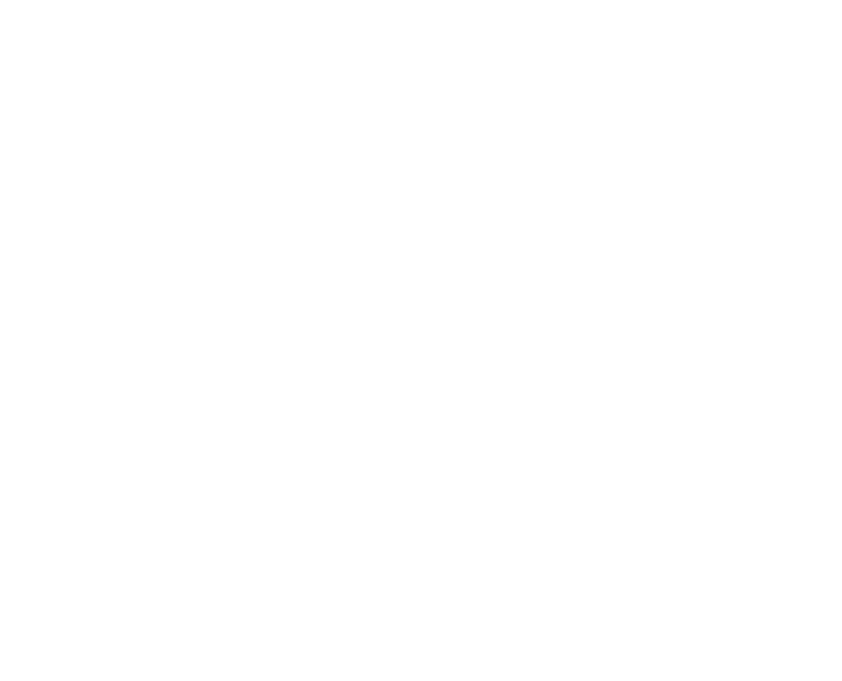 American Cancer Society Cancer Action Network 