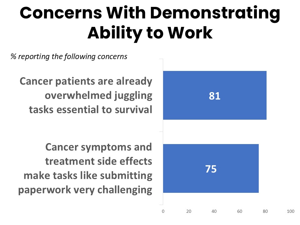 Concerns with demonstrating ability to work Concerns with demonstrating ability to work