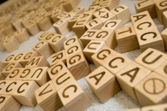 Wooden blocks with letters