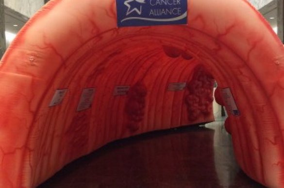 Large inflatable colon in New York