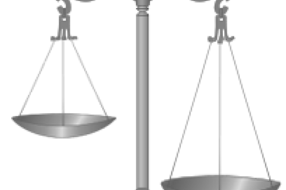 Judicial scale