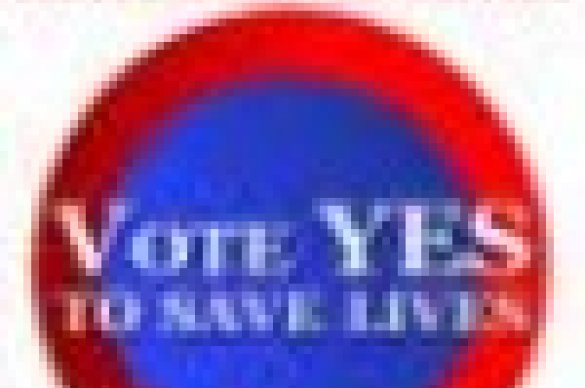 Vote Yes Logo
