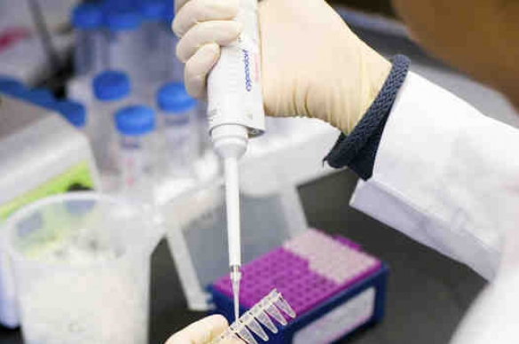 Photo of a researcher working in the lab