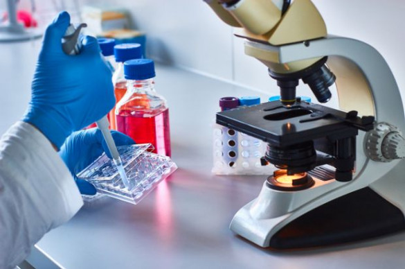 Researcher using microscope