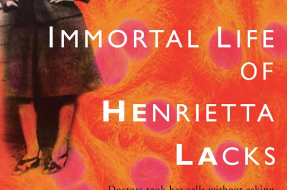 Henrietta Lacks book cover
