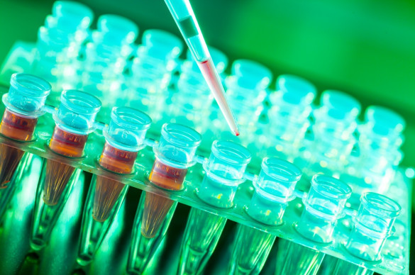 Test tubes
