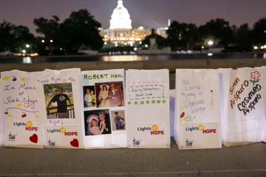 Photo of Lights of Hope with bags at the U.S. Capitol