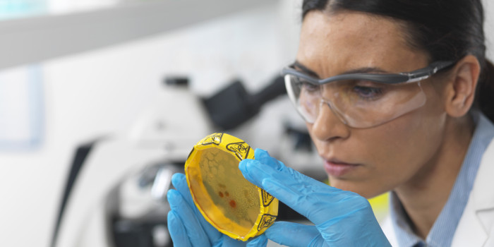 researcher in lab