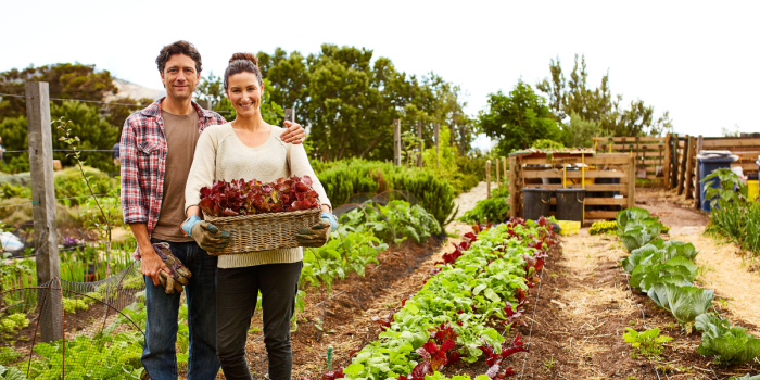 Man and woman standing in a farm field.