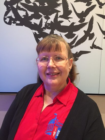 indiana volunteer