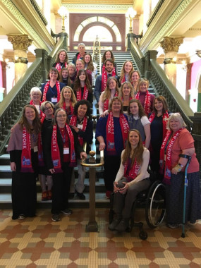 volunteers on capitol stairs