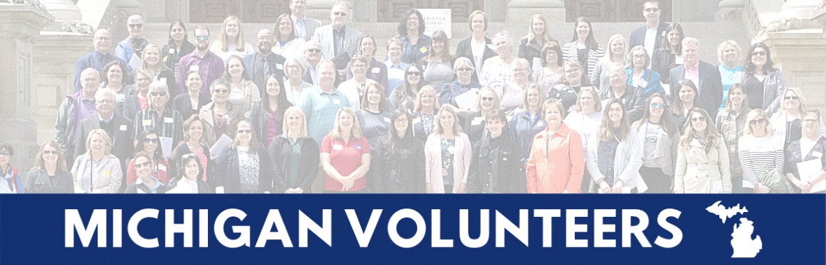 MI: Volunteer Website Banner