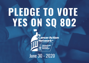 pledge to vote june 30